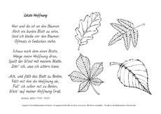 M-Letzte-Hoffnung-Müller.pdf